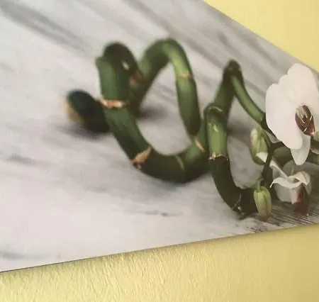 דירה A Casa Nostra קליארי